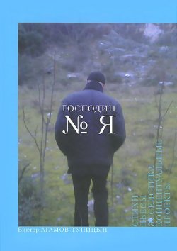 Книга "Господин № Я" – Виктор Агамов-Тупицын, 2013