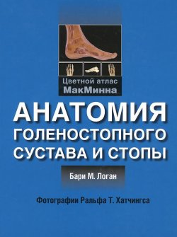 Книга "Анатомия голеностопного сустава и стопы" – , 2014