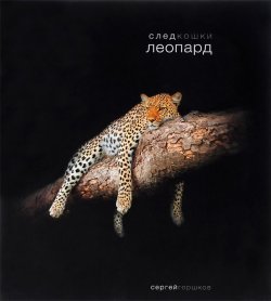Книга "След кошки. Леопард" – , 2017