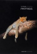 След кошки. Леопард (, 2017)