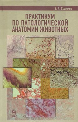 Книга "Практикум по патологической анатомии животных" – , 2013