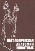 Патологическая анатомия животных (, 2013)