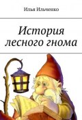 История лесного гнома (Ильченко Илья)