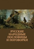 Русские народные пословицы и поговорки (Павел Рассохин)
