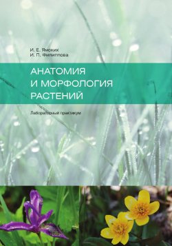 Книга "Анатомия и морфология растений" – И. Ямских, И. Филиппова, 2016