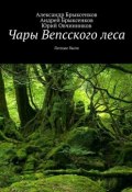 Чары Вепсского леса. Лесные были (Андрей Брыксенков, Александр Брыксенков, Овчинников Юрий)