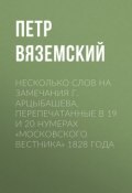 Несколько слов на замечания г. Арцыбашева, перепечатанные в 19 и 20 нумерах «Московского вестника» 1828 года (Петр Вяземский, 1828)