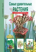 Самые удивительные растения / Школьный путеводитель (Сергей Афонькин, 2019)