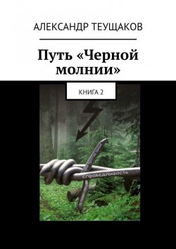 Книга "Путь «Черной молнии». Книга 2" – Александр Теущаков