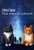 Как кошка с собакой (Илья Гуров)