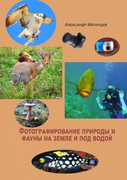 Книга "Фотографирование природы и фауны на земле и под водой" – Александр Матанцев