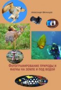 Фотографирование природы и фауны на земле и под водой (Александр Матанцев)