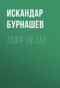 Книга "Амир Икам" (Искандар Бурнашев, 2019)