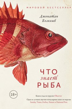 Книга "Что знает рыба / Внутренний мир наших подводных собратьев" – Джонатан Бэлкомб, 2016