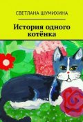 История одного котёнка (Светлана Шумихина)