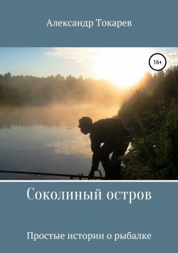 Книга "Соколиный остров" – Александр Токарев, 2019