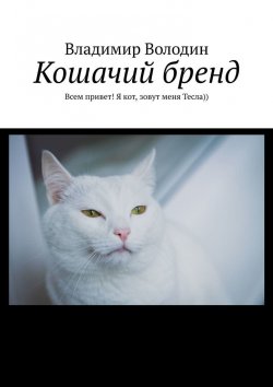 Книга "Кошачий бренд. Всем привет! Я кот, зовут меня Тесла))" – Владимир Володин