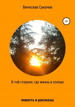 Книга "В той стороне, где жизнь и солнце" – Вячеслав Сукачев, 2019