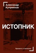 Истопник / Кинороман с курсивом, хором и оркестром (Александр Куприянов, 2019)