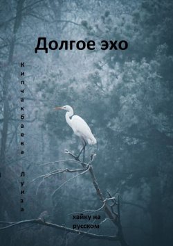 Книга "Долгое эхо" – Луиза Кипчакбаева