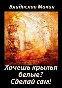Книга "Хочешь крылья белые? Сделай сам!" – Владислав Макин
