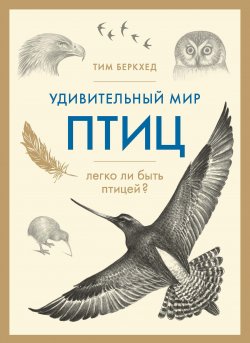 Книга "Удивительный мир птиц. Легко ли быть птицей?" – Тим Беркхед, 2012
