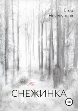 Книга "Снежинка" – Егор Нечепурнов, 2018