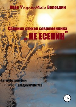 Книга "Не Есенин" – Иван Вологдин, 2019