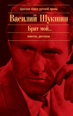 Книга "Штрихи к портрету" – Василий Шукшин
