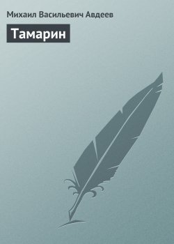 Книга "Тамарин" – Михаил Авдеев, 1849