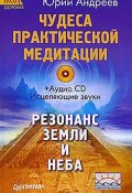 Чудеса практической медитации (Юрий Андреев, 2009)