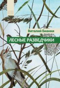 Лесные разведчики (сборник) (Виталий Бианки)