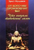 Книга "Что сказали тибетские ламы" (Эрнст Мулдашев)