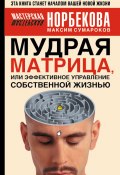 Мудрая матрица, или Эффективное управление собственной жизнью (Максим Сумароков, 2007)