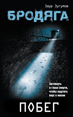 Книга "Бродяга. Побег" {Бродяга} – Заур Зугумов, 2010