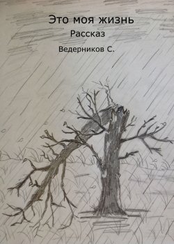 Книга "Это моя жизнь" – Сергей Ведерников, 2013