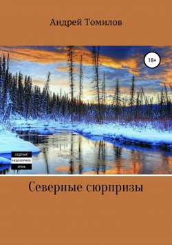 Книга "Северные сюрпризы" – Андрей Томилов, 2013