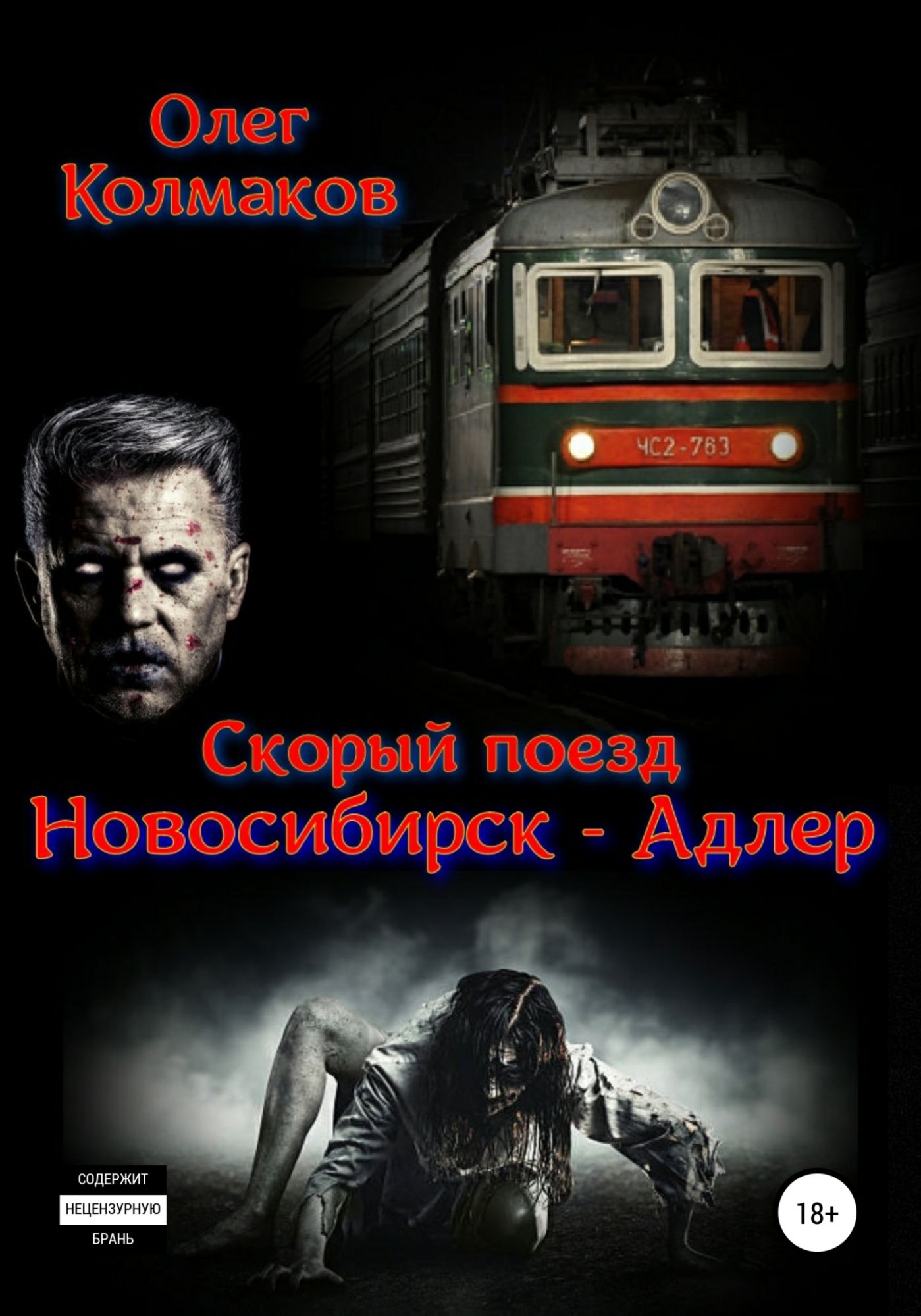 Поезд Новосибирск Адлер. Скорый поезд. Поезд памяти. Скорая электричка.