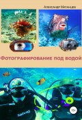 Фотографирование под водой (Александр Матанцев, 2018)