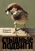 Стыдные подвиги (сборник) (Андрей Рубанов, 2012)