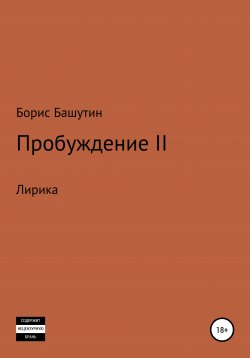 Книга "Пробуждение 2" – Борис Башутин, 2018