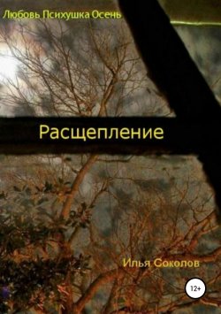 Книга "Расщепление" – Илья Соколов, 2010