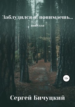 Книга "Заблудился я, понимаешь…" – Сергей Бичуцкий, 2019