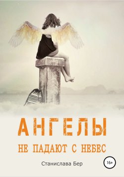 Книга "Ангелы не падают с небес" – Станислава Бер, 2019