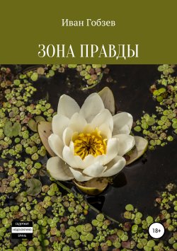 Книга "Зона Правды" – Иван Гобзев, 2012