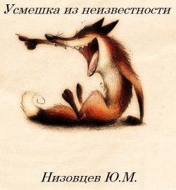 Книга "Усмешка из неизвестности" – Юрий Низовцев