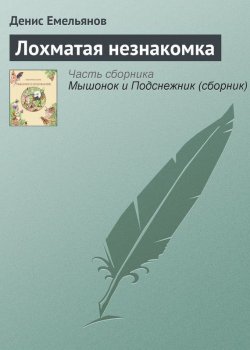 Книга "Лохматая незнакомка" – Денис Емельянов, 2012