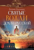 Книга "Святые вожди земли русской" (Евгений Поселянин, 2013)