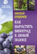 Как вырастить виноград в любой полосе (Николай Курдюмов, 2021)