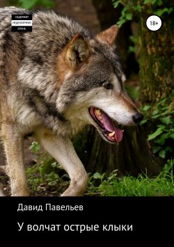 Книга "У волчат острые клыки" – Давид Павельев, 2017